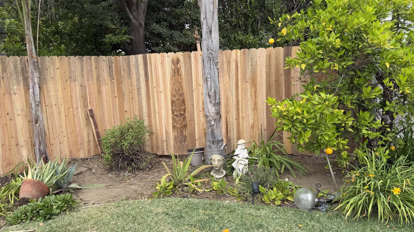 Cedar dog-ear fence behind a garden bed